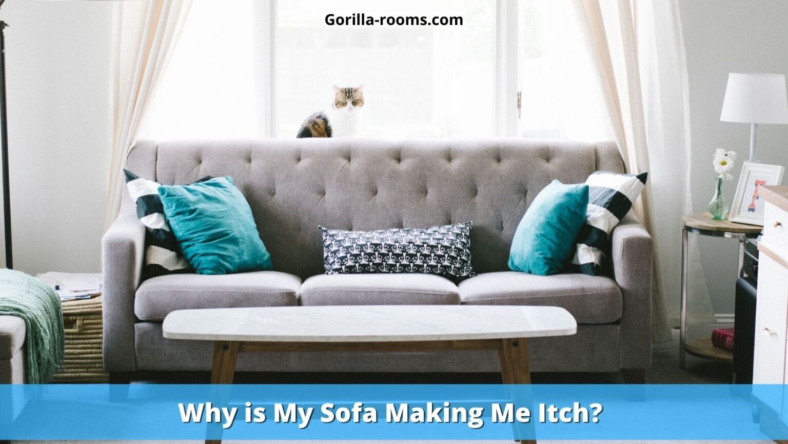 Why Is My Sofa Making Me Itch Problem Solved Gorilla Rooms