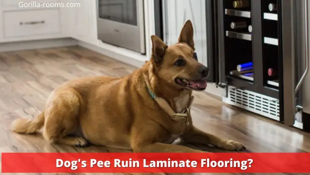 Dog's Pee Ruin Laminate Flooring? 