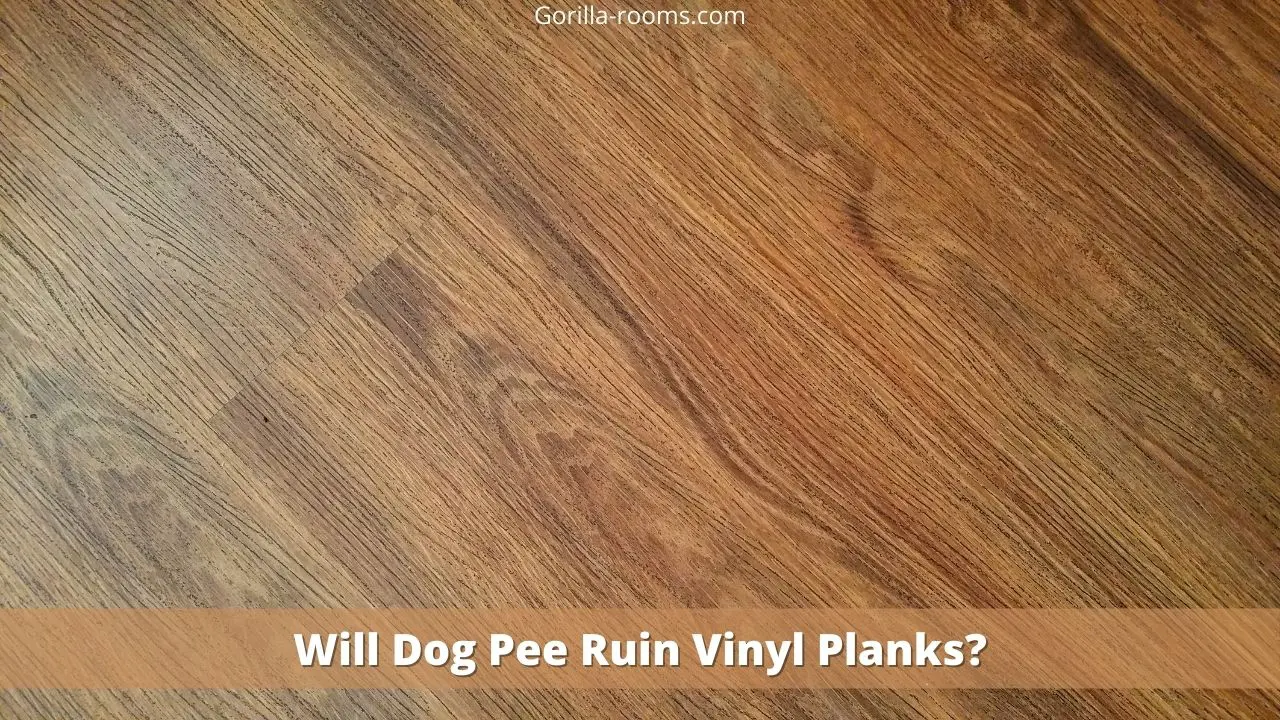Will Dog Pee Ruin Vinyl Planks?