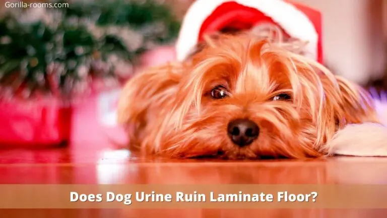 Does Dog Urine Ruin Laminate Floor