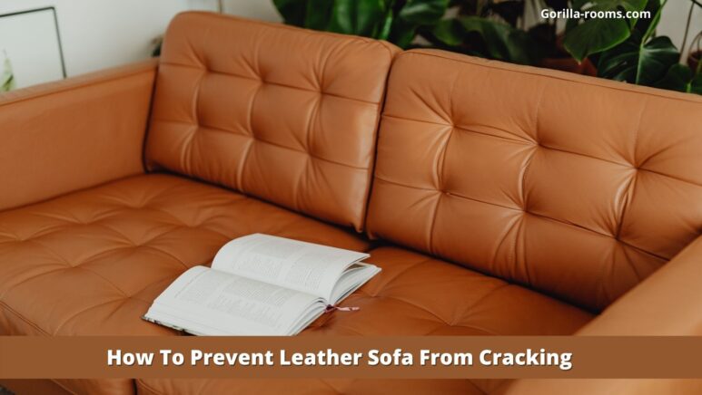 Why Is My Leather Couch Cracking: