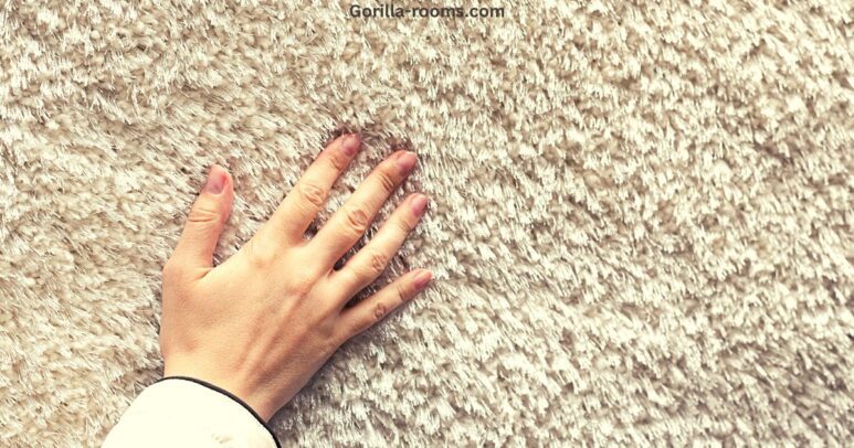 Why Does My Carpet Feel Damp