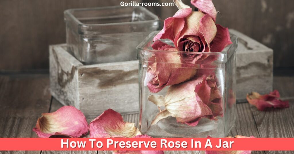 How to Preserve a Rose in a Jar? Best Methods! » Gorilla Rooms