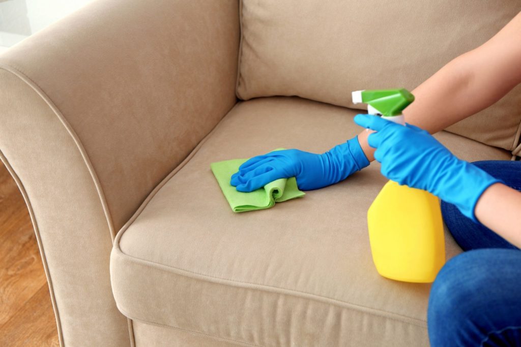 How To Sanitize Couch After Mice?