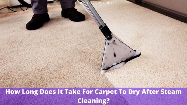 How Long Does It Take For Carpet To Dry After Steam Cleaning?