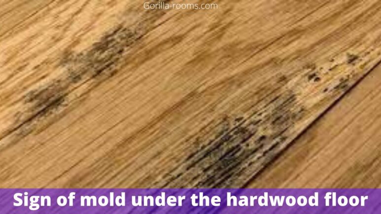 Sign of mold under the hardwood floor