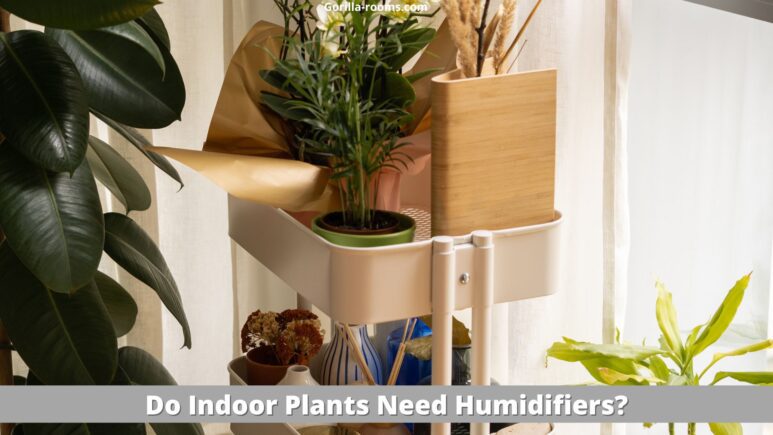 Do Indoor Plants Need Humidifiers