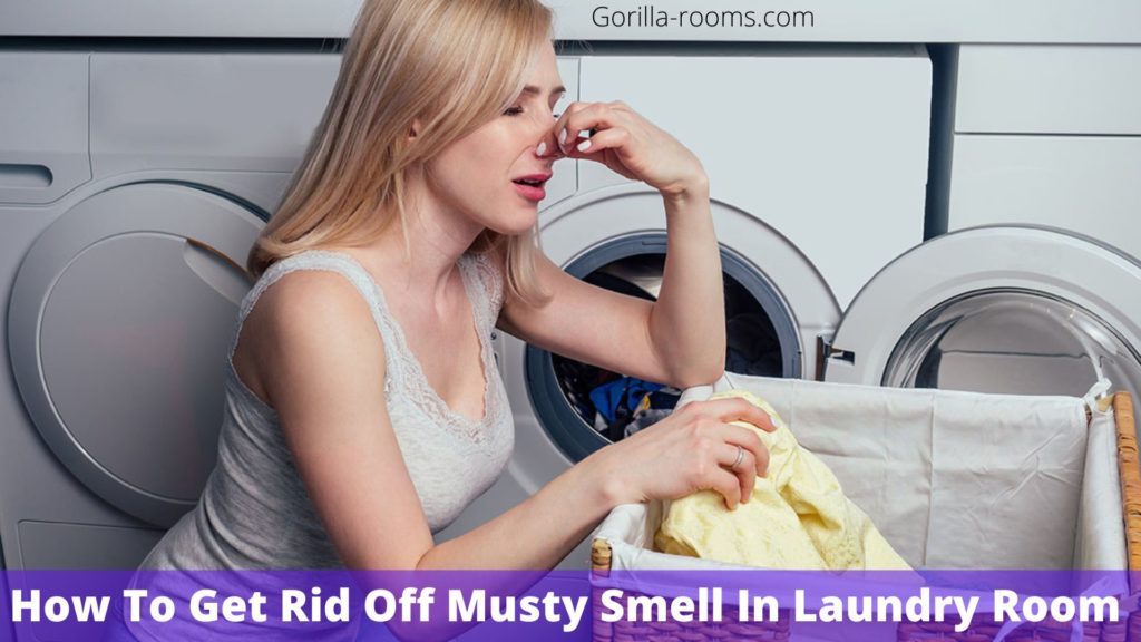 How To Get Rid Off Musty Smell In Laundry Room? » Gorilla Rooms