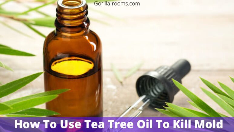 How To Use Tea Tree Oil To Kill Mold