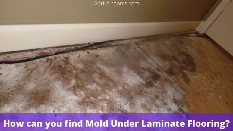 How can you find Mold Under Laminate Flooring