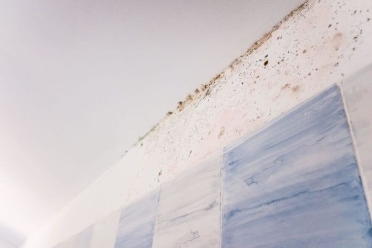 Yellow Spots on Bathroom Ceiling (Causes And Fixes!) » Gorilla Rooms