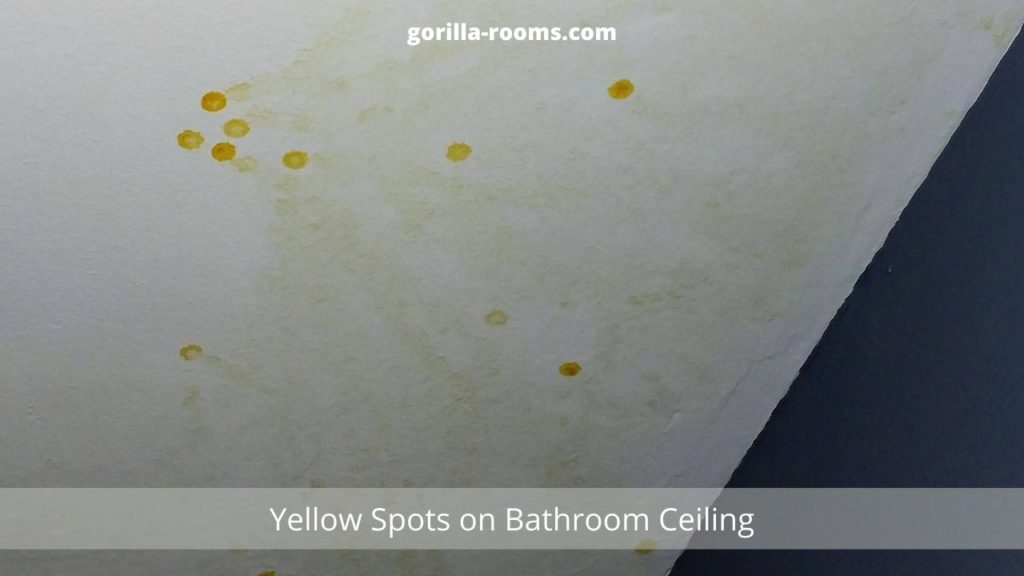 yellow-spots-on-bathroom-ceiling-causes-and-fixes-gorilla-rooms