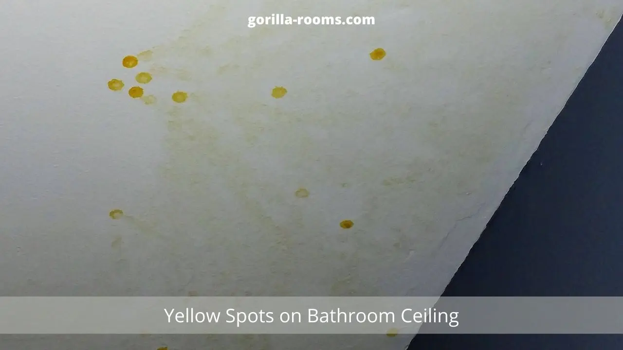 Yellow Spots on Bathroom Ceiling