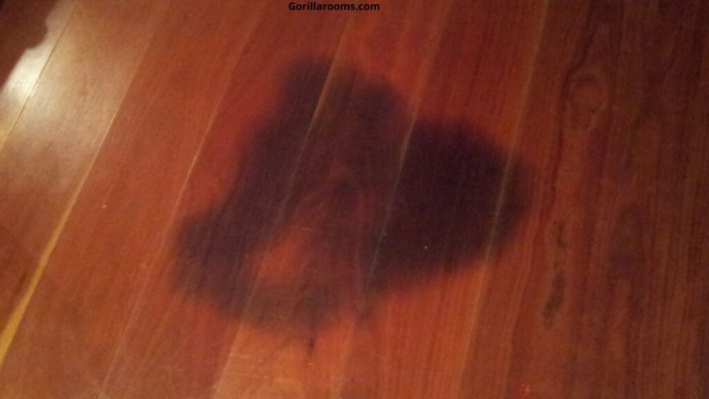 Prevent Black Urine Stains From Hardwood Floors