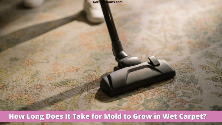 How Long Does It Take for Mold to Grow in Wet Carpet