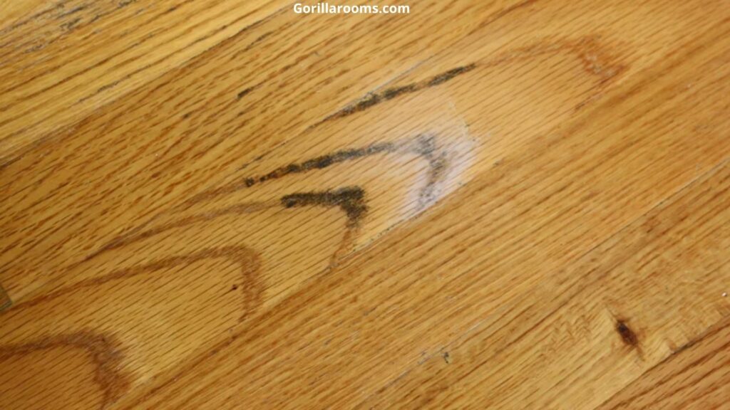 Sign Of Mold Under The Hardwood Floors