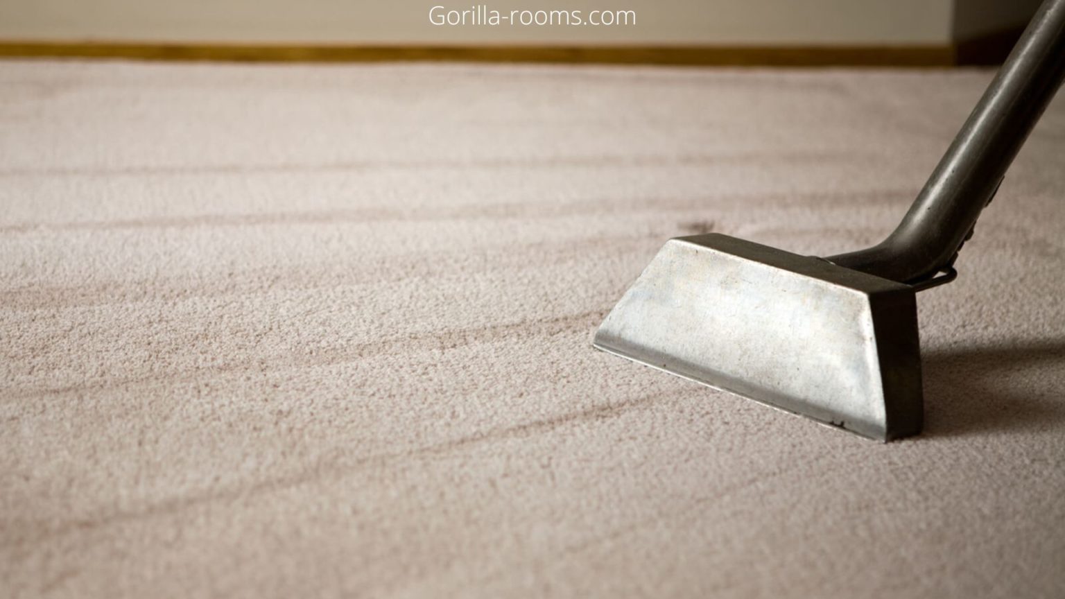 What To Put Under Furniture After Carpet Cleaning?