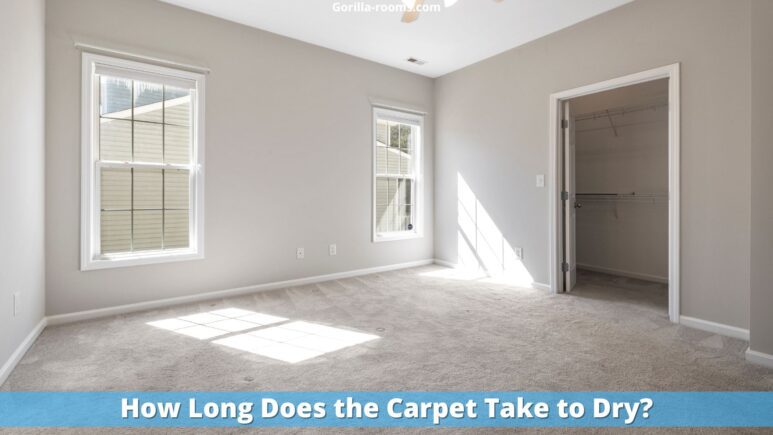 How Long Does the Carpet Take to Dry