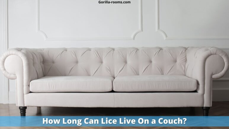 How Long Can Lice Live On a Couch
