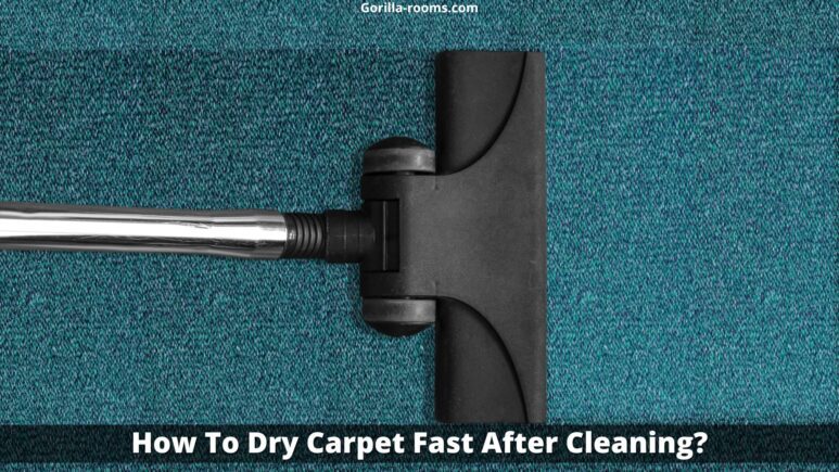 How To Dry Carpet Fast After Cleaning