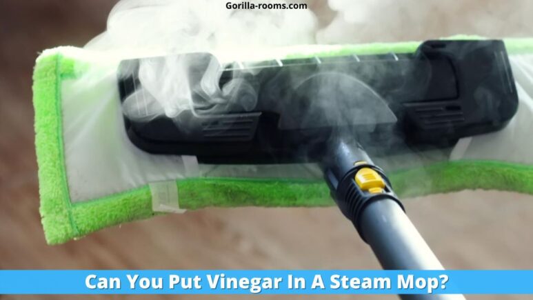Can You Put Vinegar In A Steam Mop