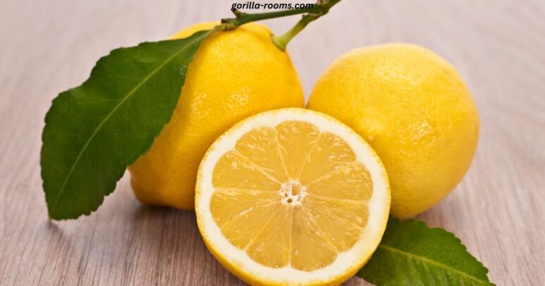 How To Get Beer Smell Out Of Couch? » Gorilla Rooms