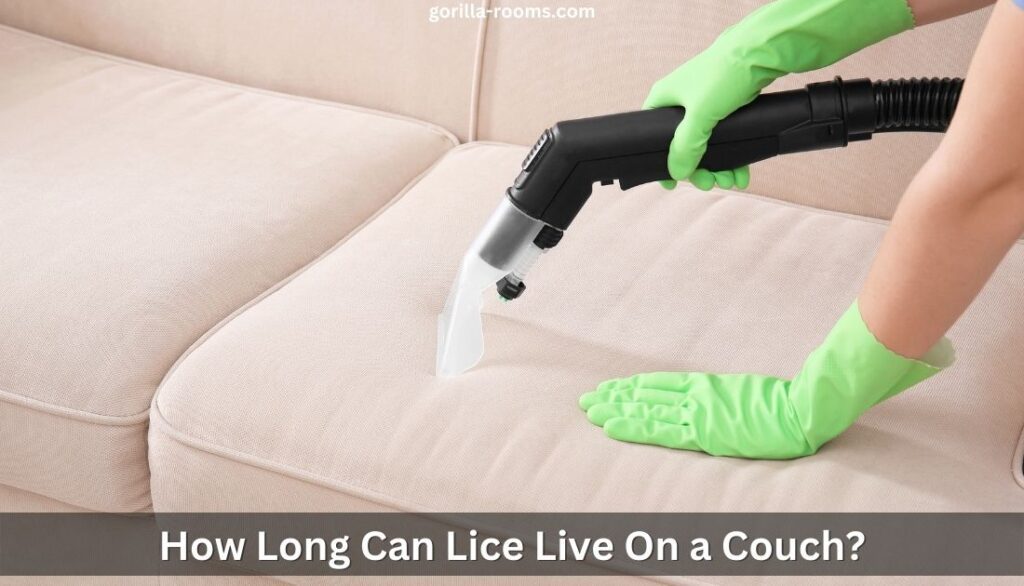 How Long Can Lice Live On a Couch? » Gorilla Rooms