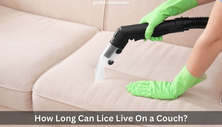 How Long Can Lice Live On a Couch