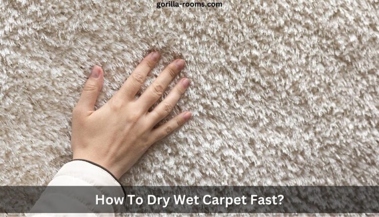 How to Dry Wet Carpet Fast