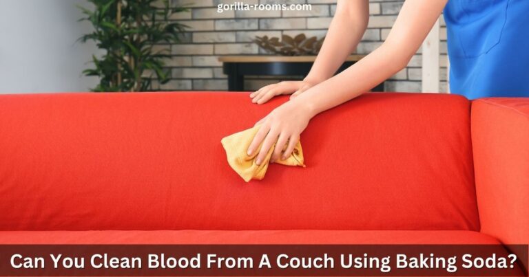 Can You Clean Blood From A Couch Using Baking Soda