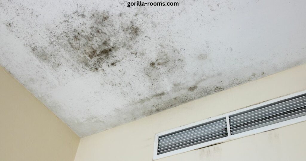 Remove Mold From Bathroom Ceiling