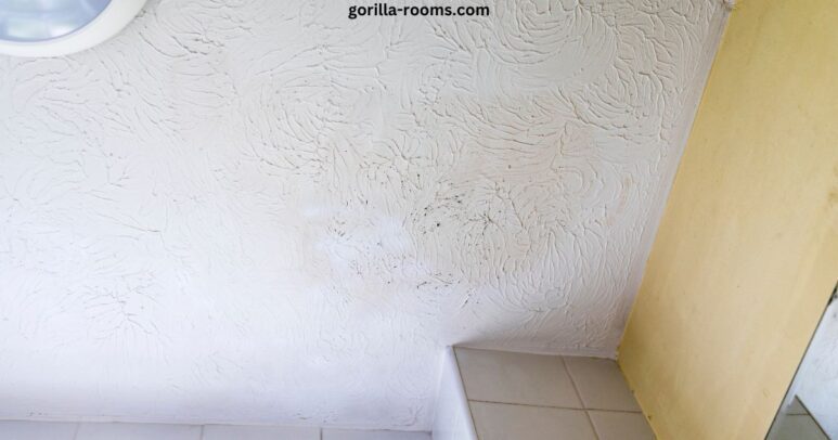 How To Permanently Remove Mold From Bathroom Ceiling? Easy Ways