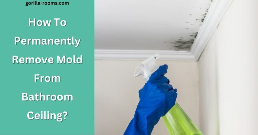 How To Permanently Remove Mold From Bathroom Ceiling? Easy Ways
