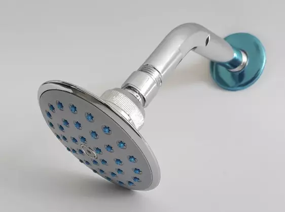 Standard Shower Head