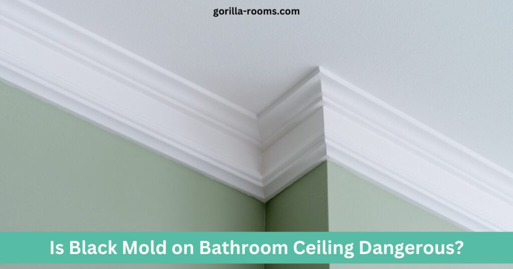 Is Black Mold on Bathroom Ceiling Dangerous? How To Remove It!